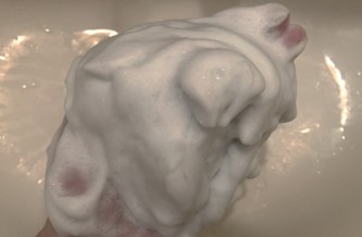 ファンケルのディープクリア洗顔パウダーが泡立たない？酵素洗顔を泡立てるコツを徹底解説